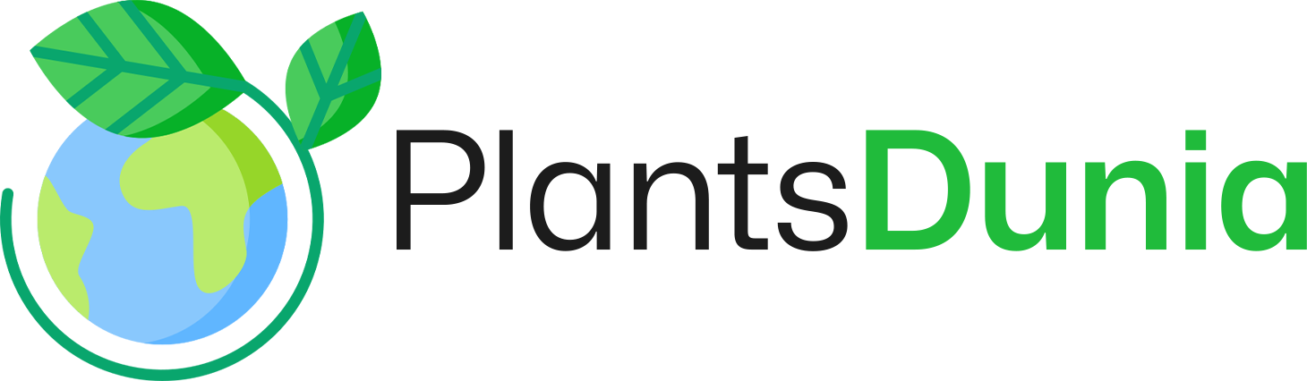 plantsdunia.com